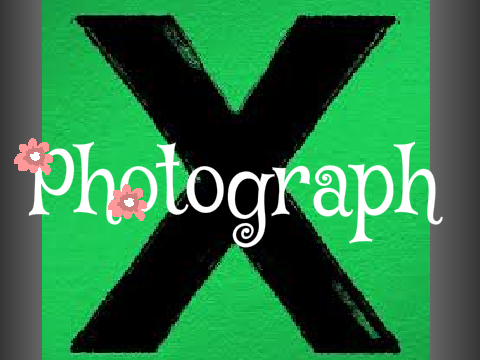 Photograph
