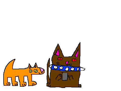 It's happened for Litten