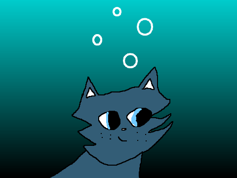 Join the Seacats!