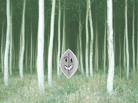 MadHouse Leaf