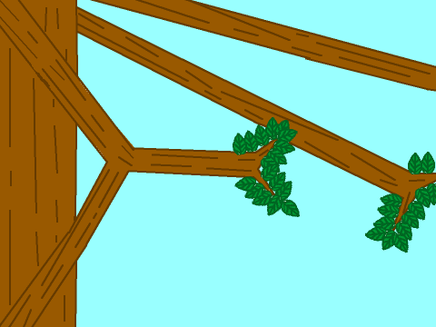 Random tree drawing
