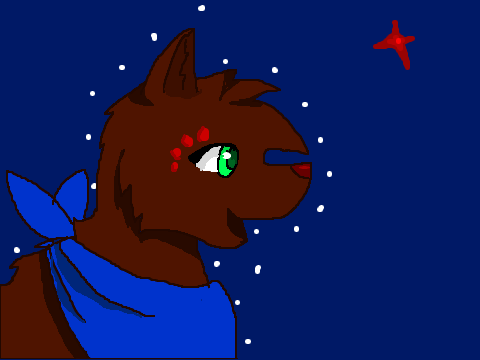 WOLF CC entry