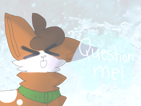 Ask Me Questions! 