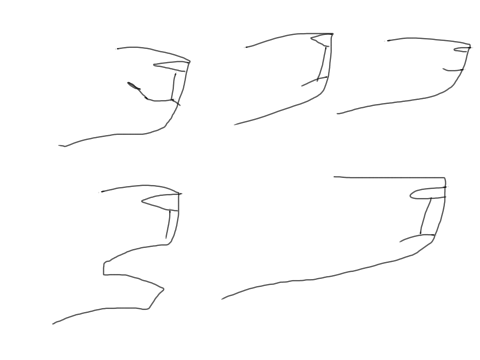 Random Muzzle Practice