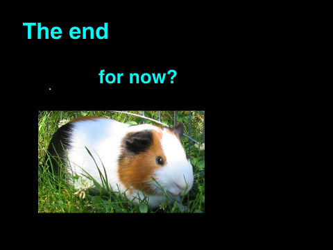 Guinie pig story thrailer