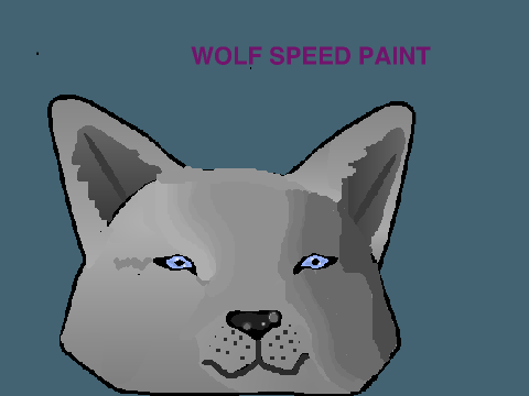 wOLF SPEED PAINT