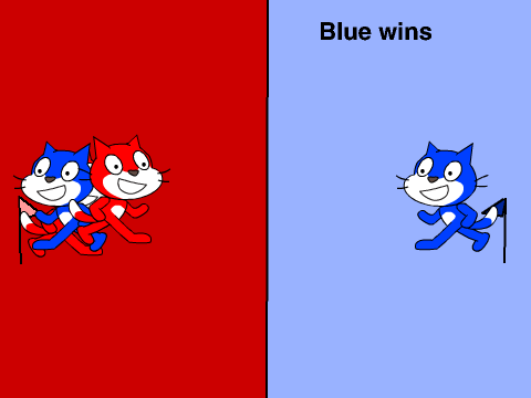 Capture the flag