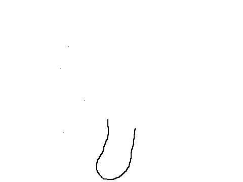 Tail Animations (fOR tEm)