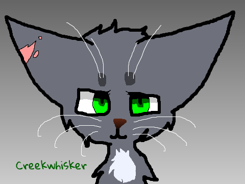 Featherclan |:| CREEKWHISKER