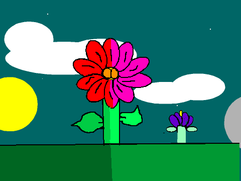 Flower