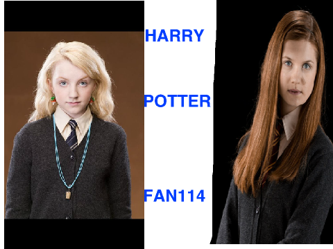 logo for harrypotterfan114