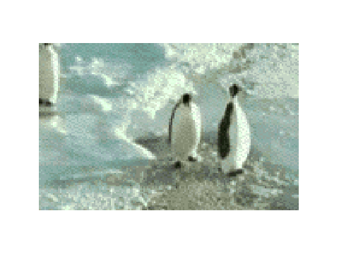 Penguin Slap