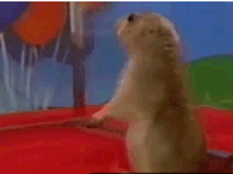bob