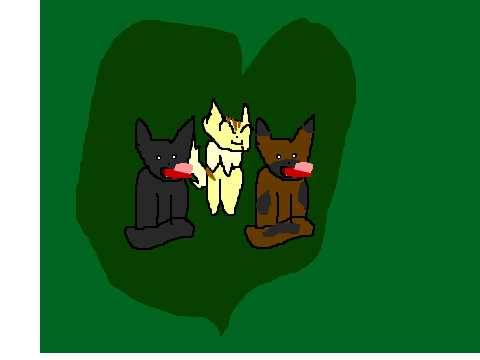 Profile Pic Contest Enter