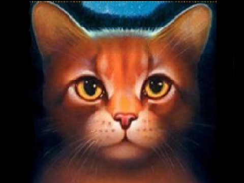Rusty, Firepaw, Fireheart, Firestar