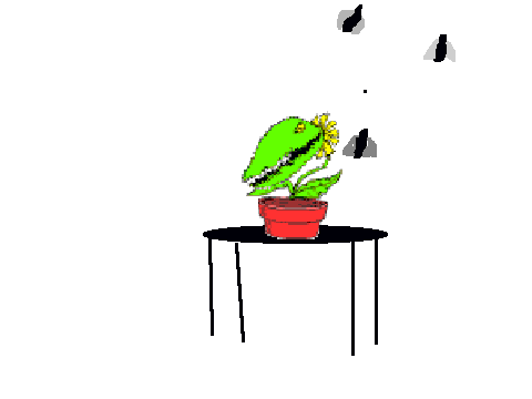 Venus fly trap.