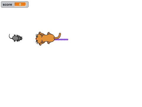 Cat and Mouse