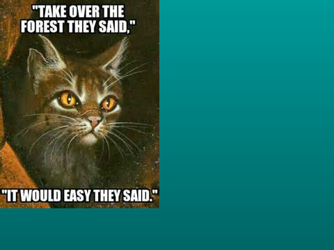 Warrioir Cats Memes #1