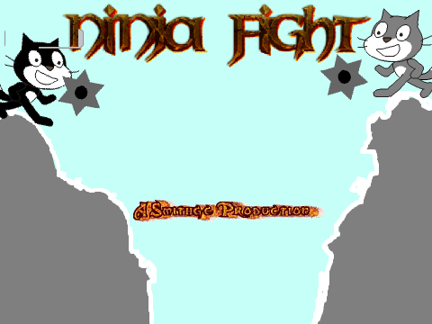 Ninja Fight