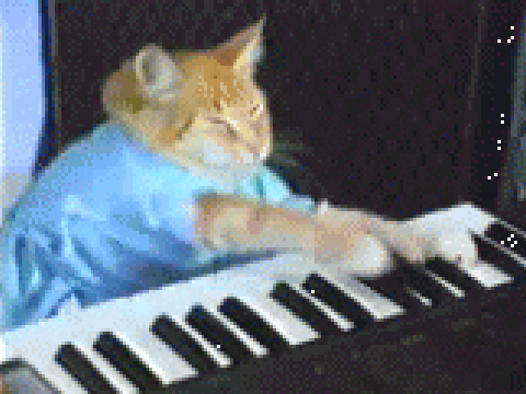 keyboard cat!!!