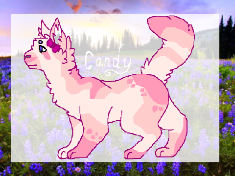 мeeт candy! [ gardenclan rp ғorм ] 