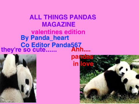 all things pandas magazine in pink