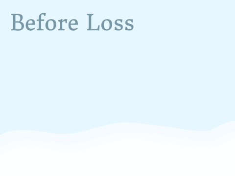 Before Loss