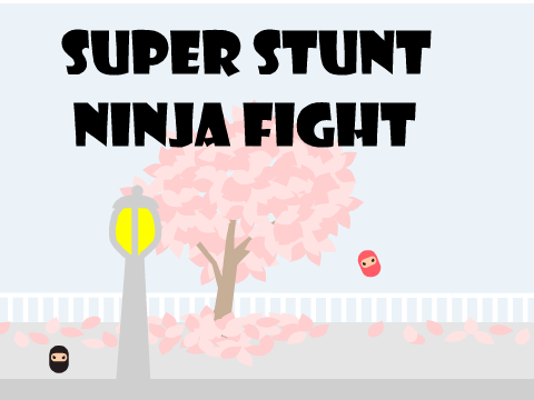Super Stunt ninja fight!