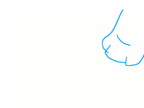 Paw Practice Animation