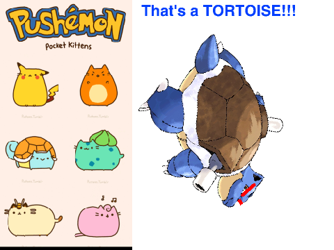 That's a Tortoise!!!!