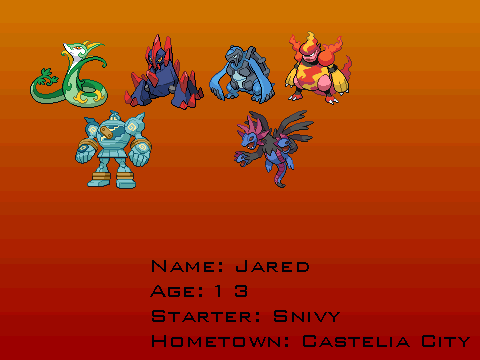 My Pokemon White Team