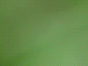 ­­­­­­­­­­­­­­