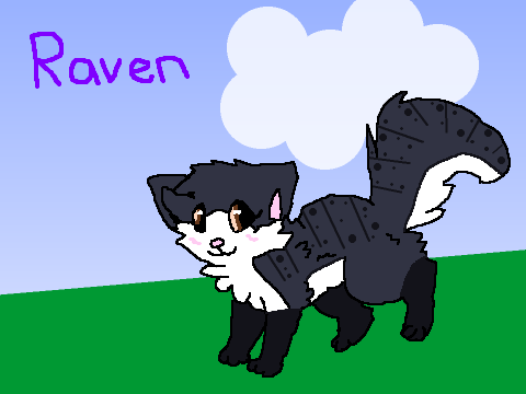 Raven~Project Entry