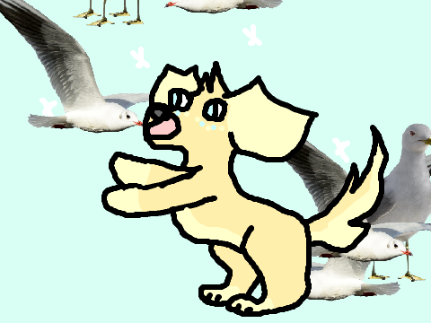 { + SEAGULLS + } (meme) 