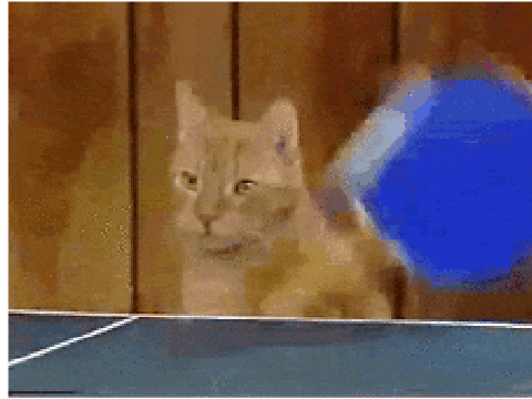 Ping Pong Extreme