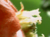 ­­­­­­­­­­­­