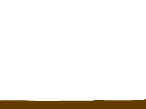 Scratch Cat Speed Draw!