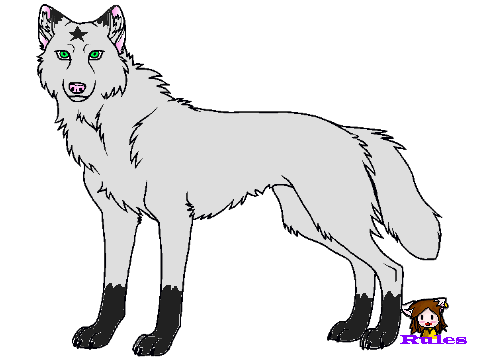 wolf_coloring_contest![1]