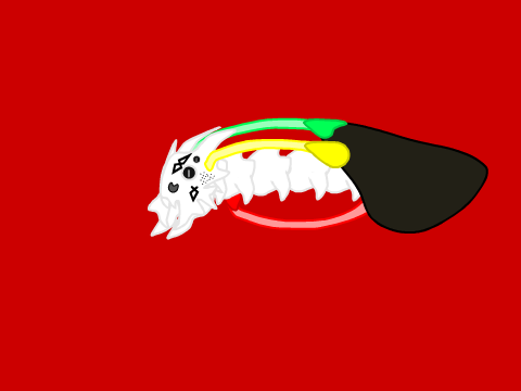 A Discord Avatar