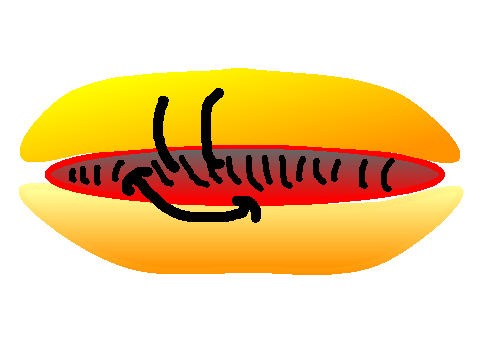 Hot Dog With Vector Mode
