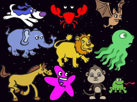 Animals In Motion!