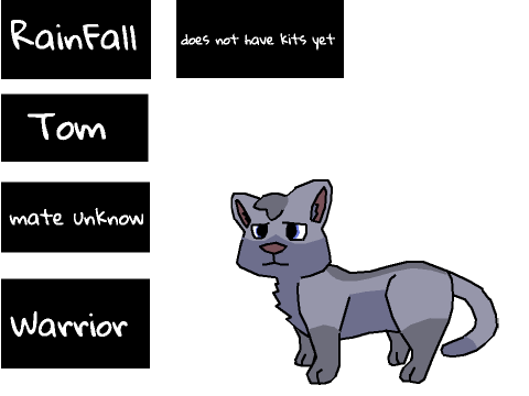 StreamClan RainFall