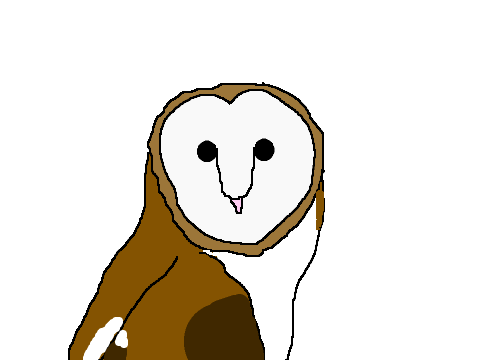 Random Animating Practice