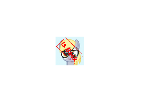 Profile Pictures