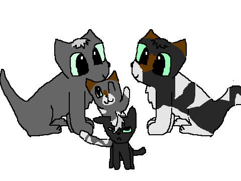 Cats
