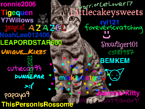 Sign to stop cat cruelty! Lots of remixes remix remix