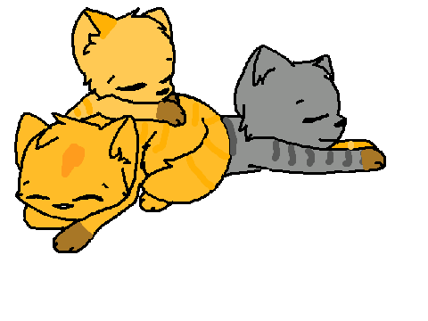 Shadekit, Dandelionkit, & Amberkit