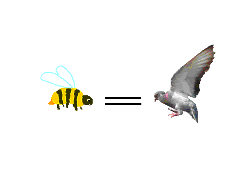 the bird and the bee