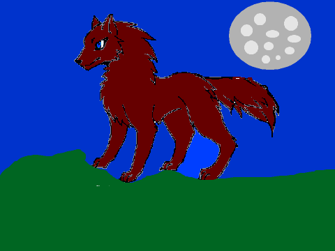 Wolf CCE *OPEN*