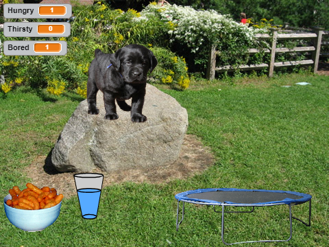 Virtual Puppy